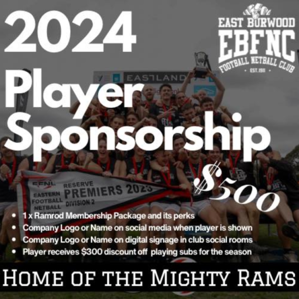 2024 500 player sponsor